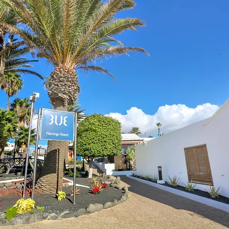 Playa Flamingo Margarita Playa Blanca (Lanzarote)