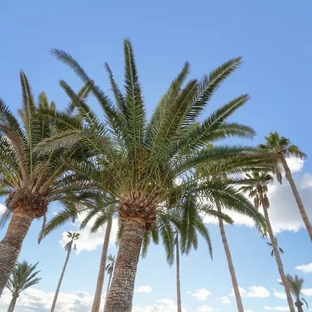 Apartment Playa Flamingo Margarita Playa Blanca (Lanzarote)
