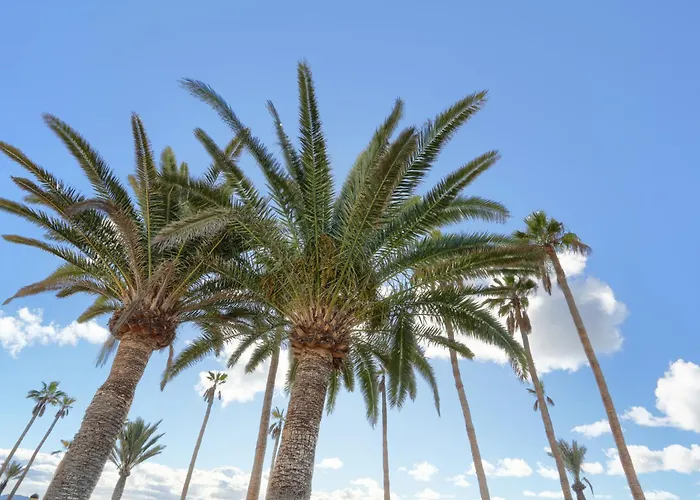 شقة Playa Flamingo Margarita بلايا بلانكا